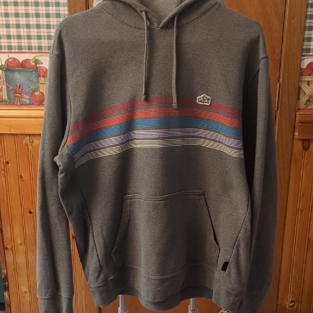 Patagonia Gray Stripped Hoodie with Multicolor Stripes